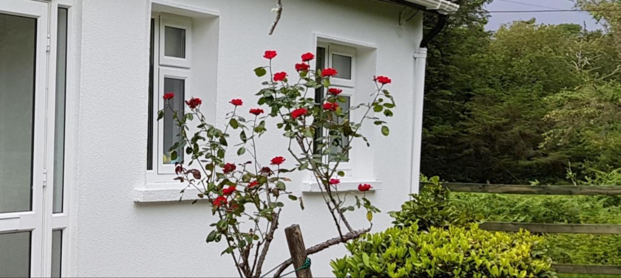 Lakeside House Oughterard Exterior foto
